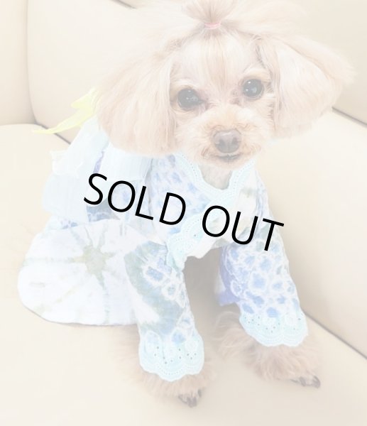 画像6: 浴衣2020 しぼり (6)