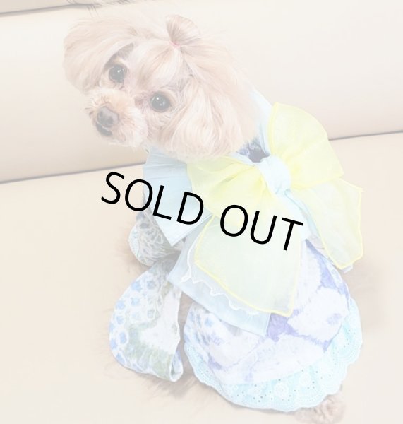 画像4: 浴衣2020 しぼり (4)