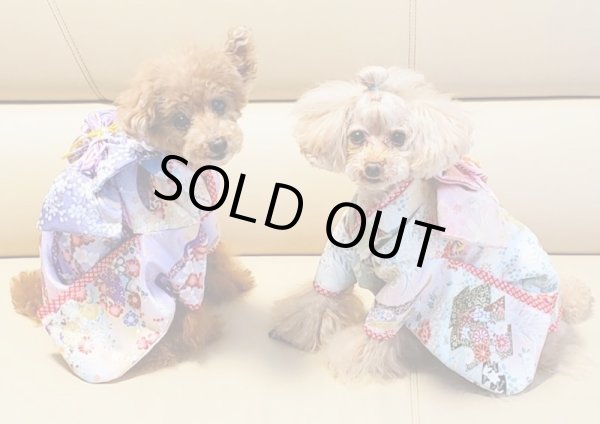 画像13: 京・金彩友禅 草花松皮菱（かすみ）振袖スタイル (13)