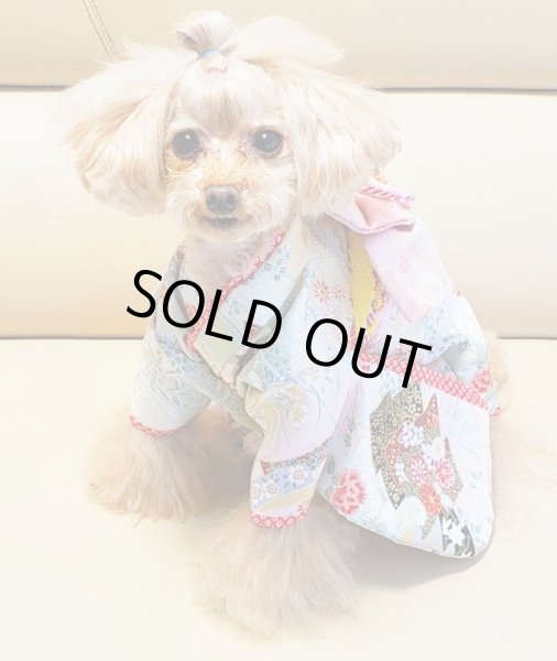 画像12: 京・金彩友禅 草花松皮菱（かすみ）振袖スタイル (12)