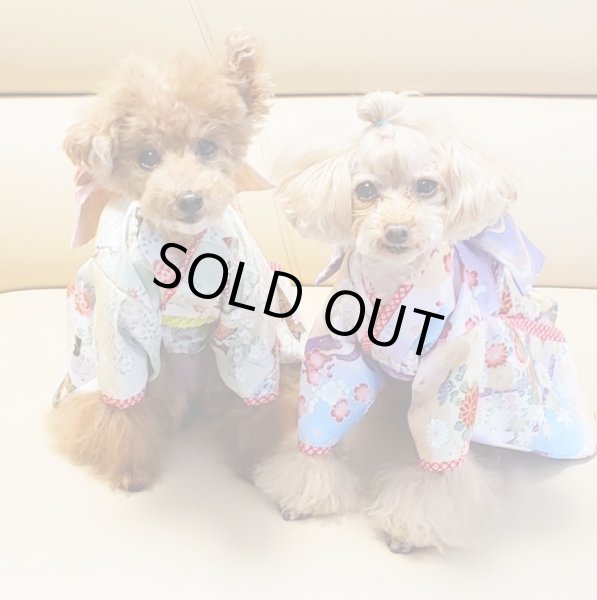 画像14: 京・金彩友禅 草花松皮菱（かすみ）振袖スタイル (14)