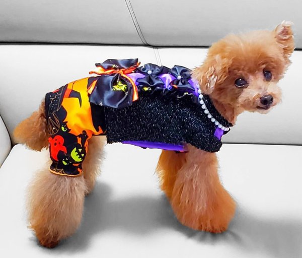 画像7: ハロウィン オールインワン　 2001 (7)