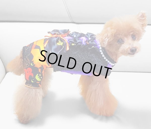 画像16: ハロウィンワンピース 2001 (16)