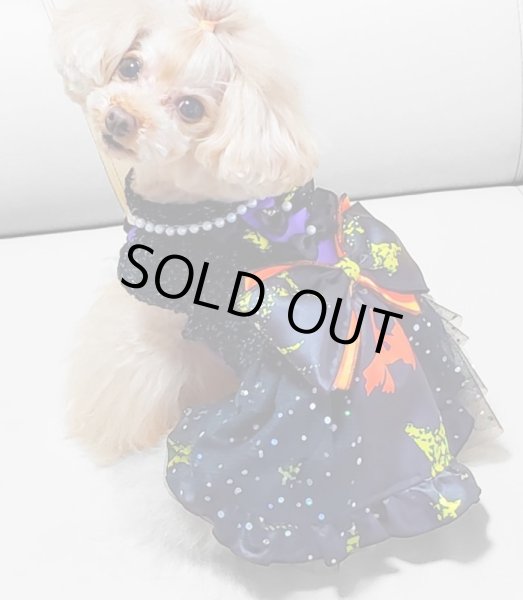 画像13: ハロウィンワンピース 2001 (13)