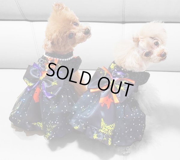 画像12: ハロウィンワンピース 2001 (12)