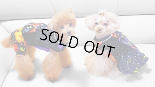 画像15: ハロウィンワンピース 2001 (15)