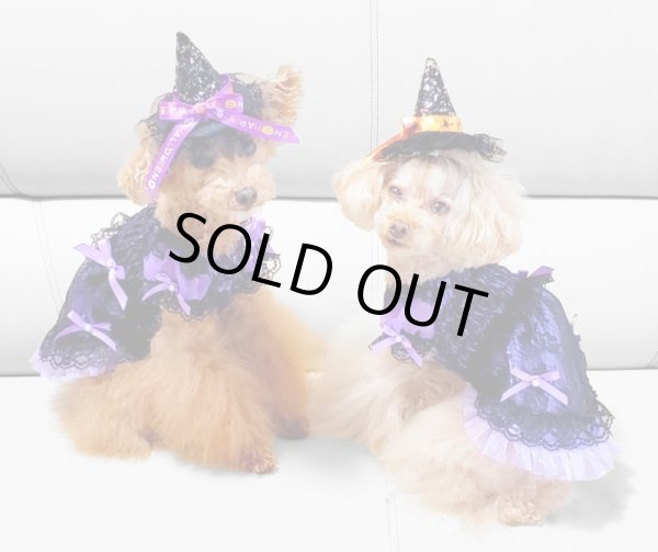 画像8: ハロウィンワンピース 2002　シャーリングワンピース　パープル (8)