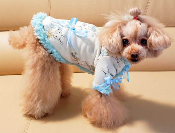 画像6: USAGI柄ボアコート (6)