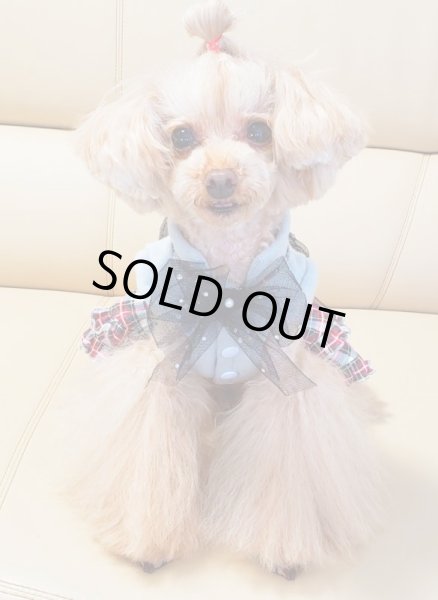 画像7: ラメグレー＆チェックワンピース (7)