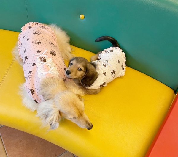 画像10: 苺&ミニドットワンピース (10)