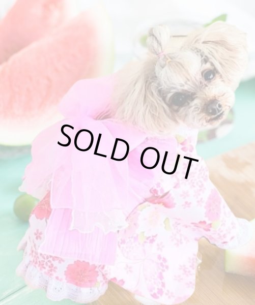 画像9: 浴衣2020 さくら蝶々 (9)