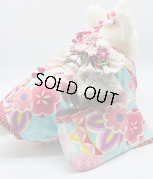 画像10: 犬服/猫服　晴れ着　友禅 手毬に桜橘 (水色)　振袖スタイル (10)