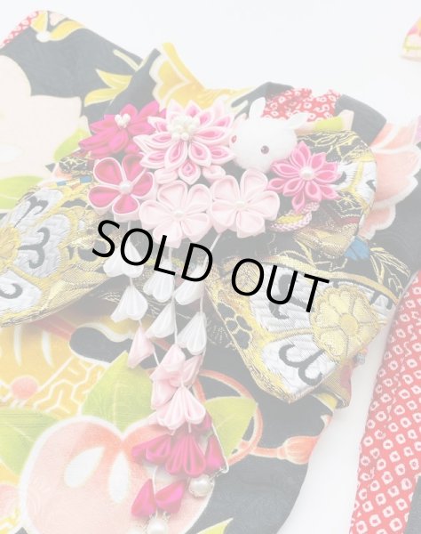 画像6: 犬服/猫服　晴れ着　友禅 宝文様 (黒)　振袖スタイル (6)