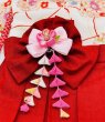 画像3: 犬服/猫服　袴　ちりめん・桜結び(白)　サザンクロス（赤れんが） (3)