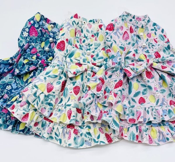 画像2: いちご畑　ワンピース (2)