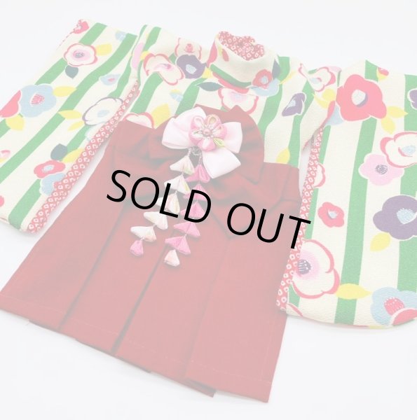 画像4: 犬服/猫服　袴　ちりめん椿　サザンクロス（赤れんが） (4)