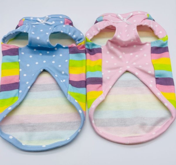 画像4: パステルボーダー＆ドットTシャツ (4)