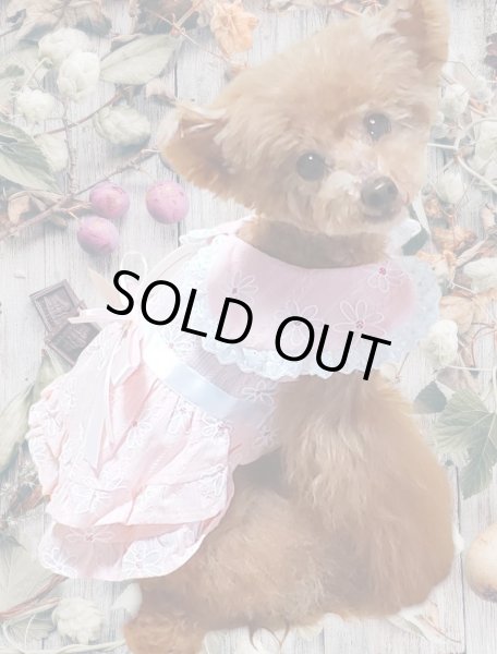 画像6: お花刺繍＆レースワンピース　ピンク (6)