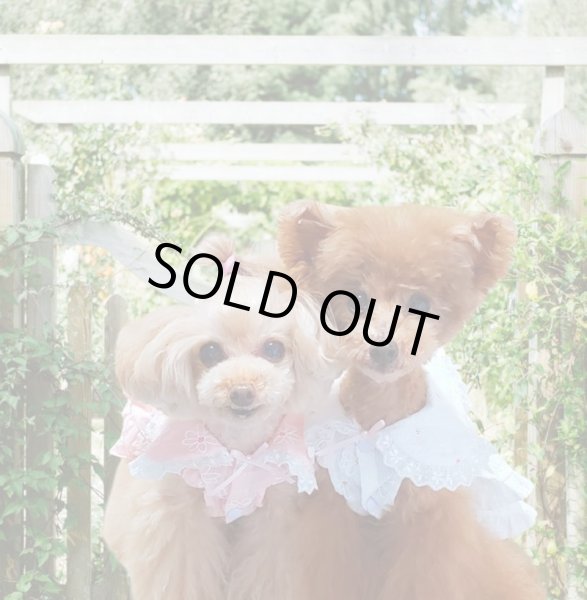 画像7: お花刺繍＆レースワンピース　ピンク (7)