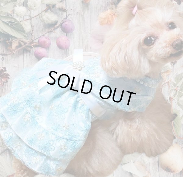 画像6: お花レースアメリワンピース　ブルー (6)