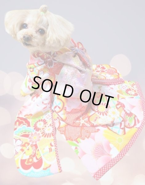 画像2: 犬服/猫服　晴れ着　 梅・キク柄・ピンク  振袖スタイル　お引きづり/通常着丈選択可能 (2)