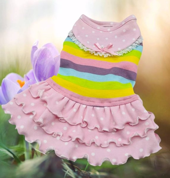 画像2: ボーダーニット&ドットワンピース/オールインワン (2)