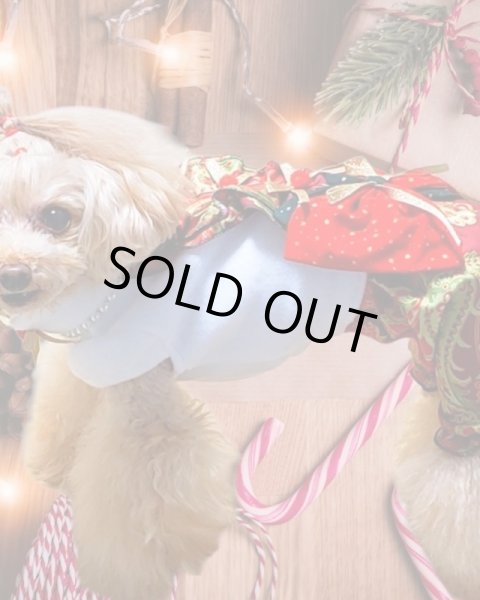 画像10: クリスマス ワンピース/オールインワン  金ラメポインセチア＆ペイズリー (10)