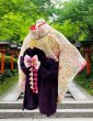 画像1: 犬服/猫服　袴　一越ちりめん生地 観世水に菊と桜　サザンクロス深紫 (1)