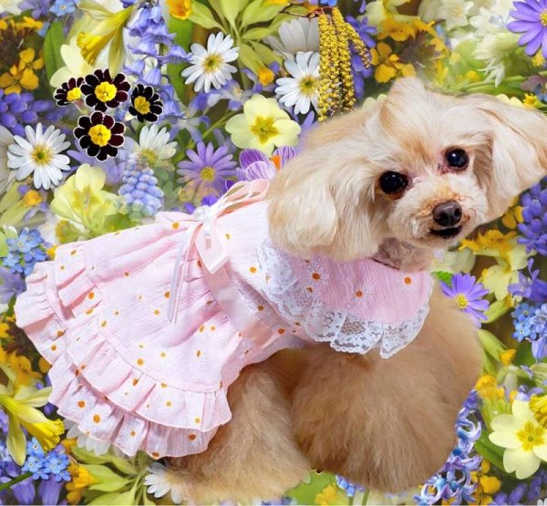 画像5: ピンク&お花ワンピース (5)