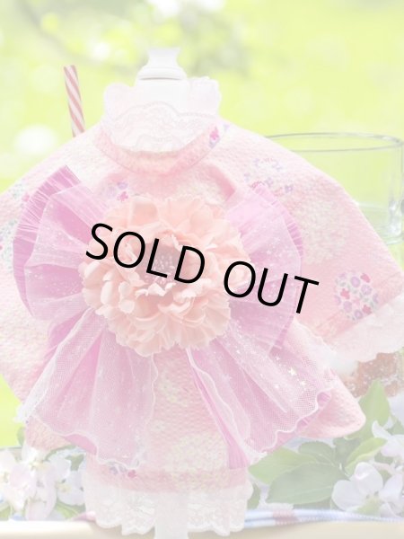 画像6: 浴衣　リップル うさぎ  ピンク (6)