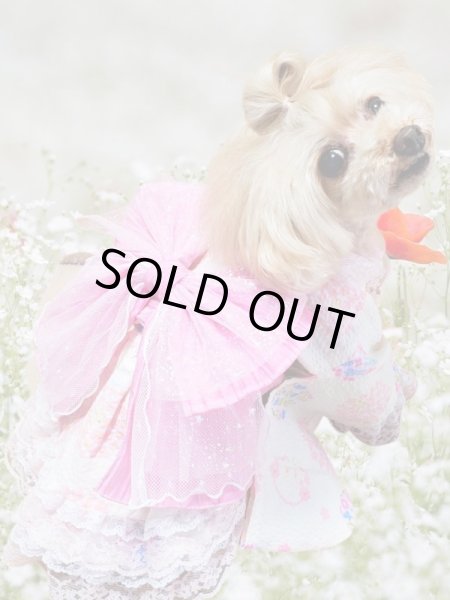 画像7: 浴衣　リップル うさぎ  オフホワイト (7)