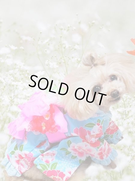 画像4: 浴衣 八重桜　水色xピンク (4)