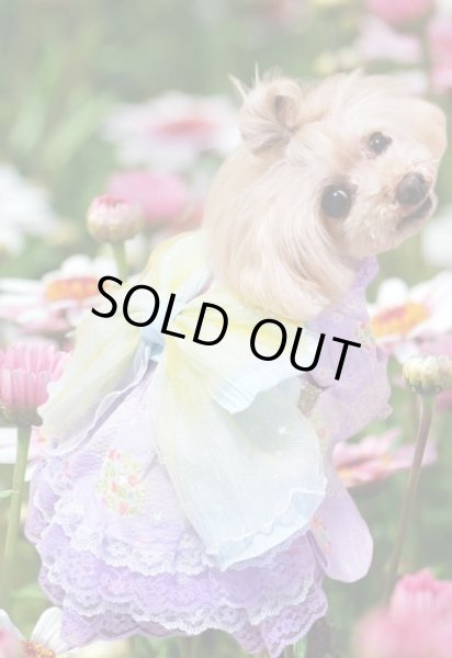 画像6: 浴衣　リップル うさぎ  ラベンダー (6)