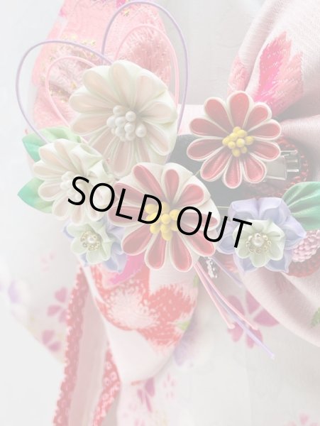 画像5: 犬服/猫服　晴れ着　京・金彩友禅 箔流し桜花文  振袖スタイル　お引きづり/通常着丈選択可能 (5)