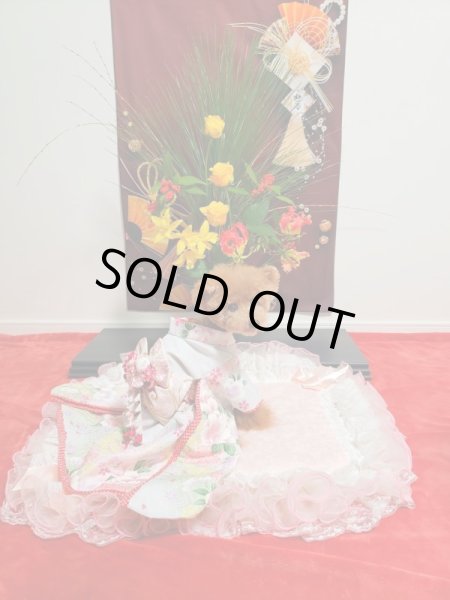 画像8: 犬服/猫服　晴れ着　京・金彩友禅 箔流し桜花文  振袖スタイル　お引きづり/通常着丈選択可能 (8)