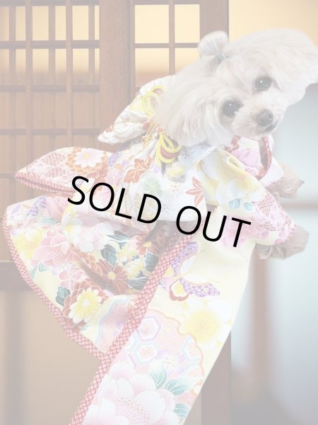 画像8: 犬服/猫服　晴れ着　京・金彩友禅　雪輪牡丹蝶文　振袖スタイル　お引きづり/通常着丈選択可能 (8)