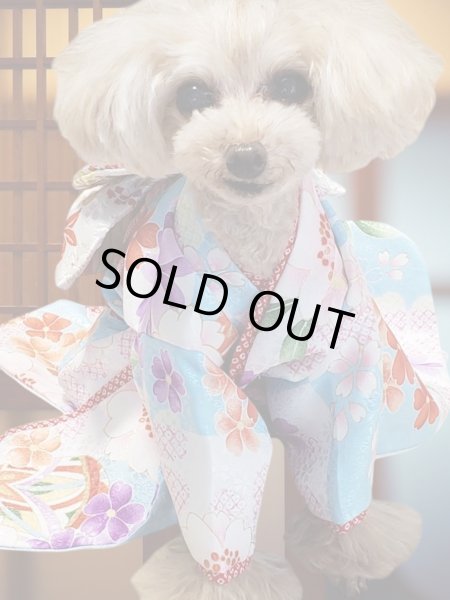 画像9: 犬服/猫服　晴れ着　京・金彩友禅  石畳花手毬　振袖スタイル　お引きづり/通常着丈選択可能 (9)