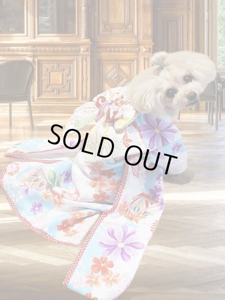 画像10: 犬服/猫服　晴れ着　京・金彩友禅  石畳花手毬　振袖スタイル　お引きづり/通常着丈選択可能 (10)