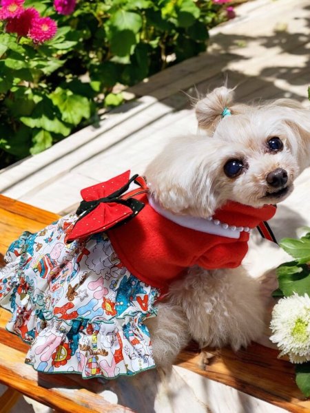 画像9: クリスマス ワンピース　かわいいクリスマス柄オフホワイトスカート (9)