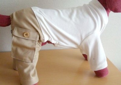 画像1: キナリパンツ　オールインワン