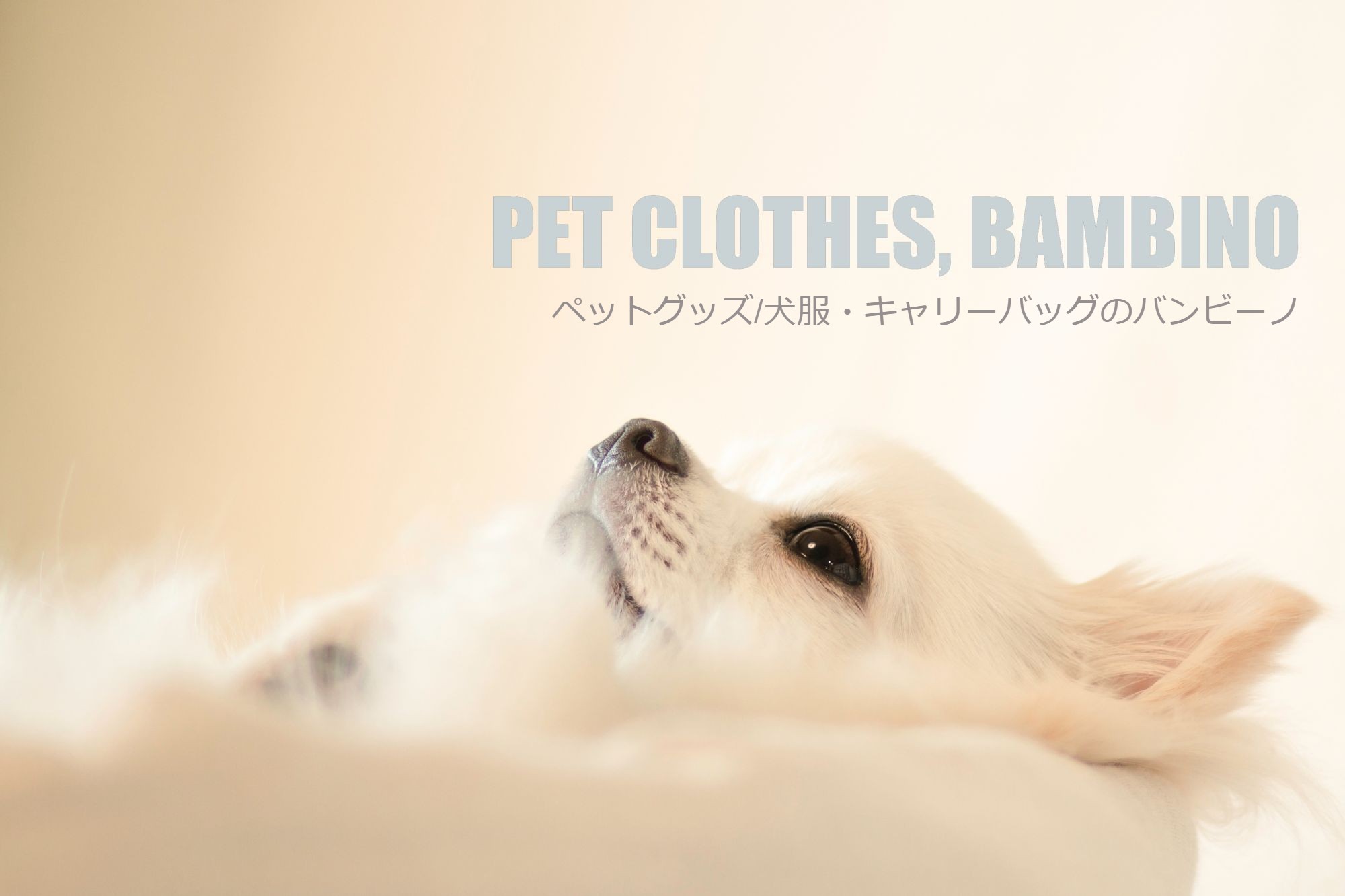 犬 服 可愛い犬服通販サイトbambino 卸販売可 サイズオーダー可 Pet Clothes Shop Bambino Wholesale